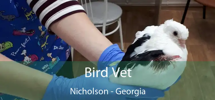 Bird Vet Nicholson - Georgia