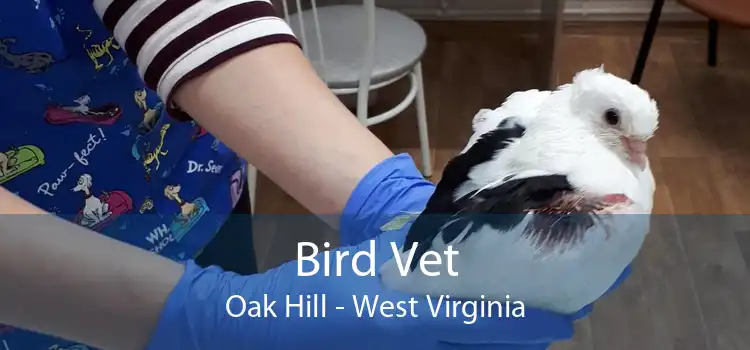 Bird Vet Oak Hill - West Virginia