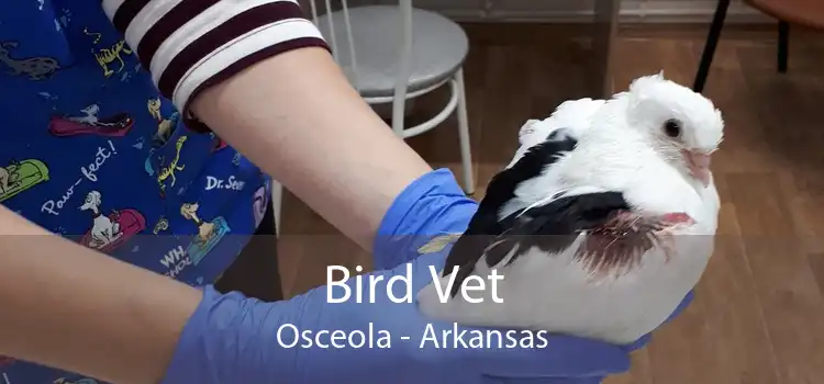 Bird Vet Osceola - Arkansas