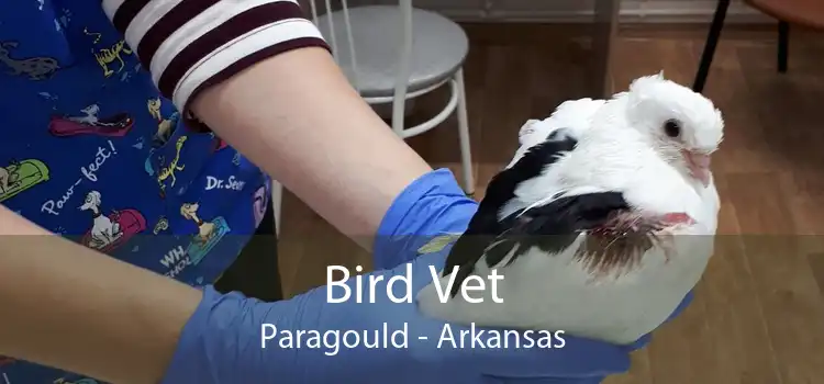 Bird Vet Paragould - Arkansas