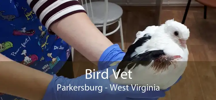 Bird Vet Parkersburg - West Virginia