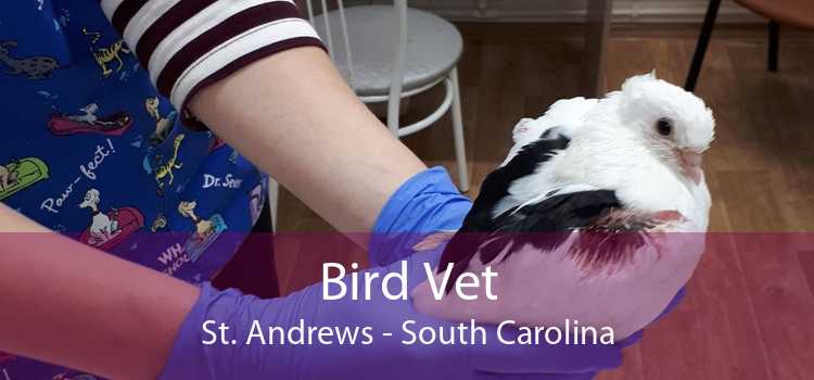 Bird Vet St. Andrews - South Carolina