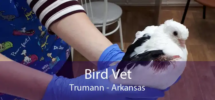 Bird Vet Trumann - Arkansas