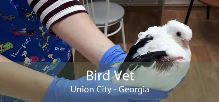 Bird Vet Union City - Georgia