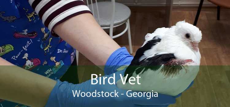 Bird Vet Woodstock - Georgia