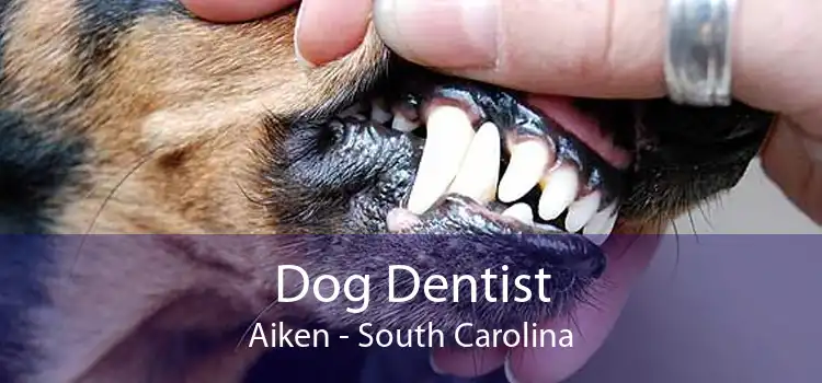 Dog Dentist Aiken - South Carolina