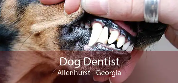 Dog Dentist Allenhurst - Georgia