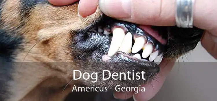 Dog Dentist Americus - Georgia