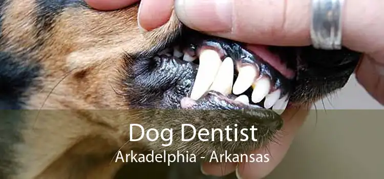 Dog Dentist Arkadelphia - Arkansas
