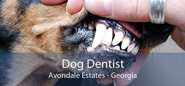 Dog Dentist Avondale Estates - Georgia