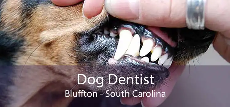 Dog Dentist Bluffton - South Carolina