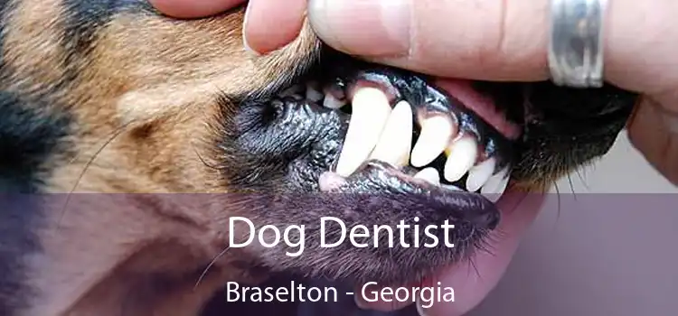 Dog Dentist Braselton - Georgia