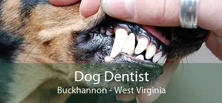 Dog Dentist Buckhannon - West Virginia