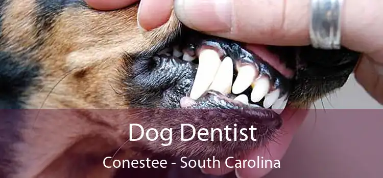 Dog Dentist Conestee - South Carolina