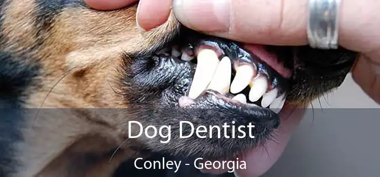 Dog Dentist Conley - Georgia