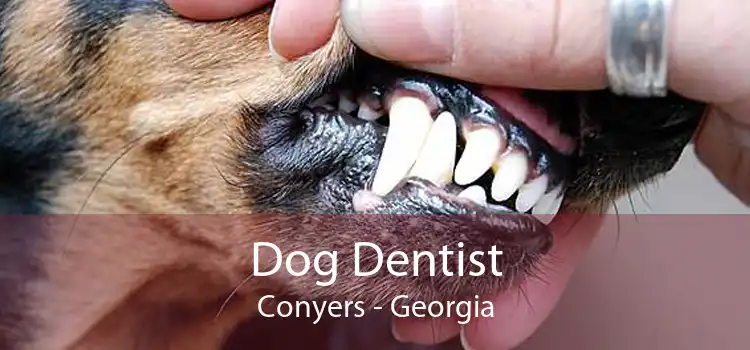Dog Dentist Conyers - Georgia