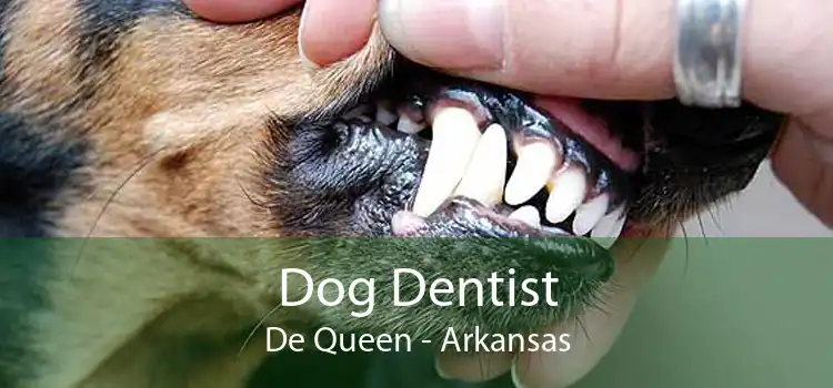Dog Dentist De Queen - Arkansas