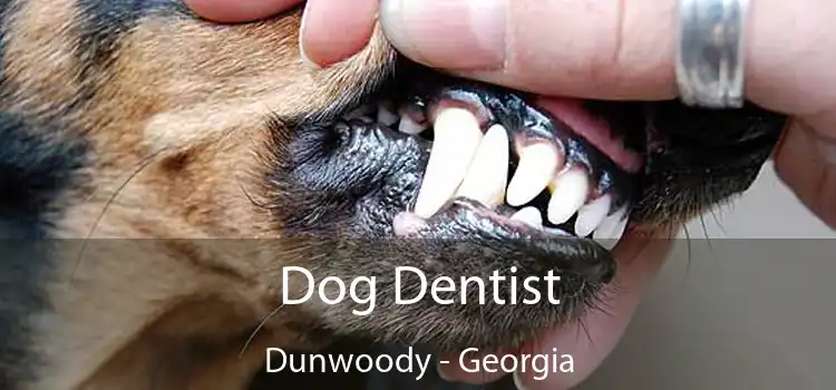 Dog Dentist Dunwoody - Georgia