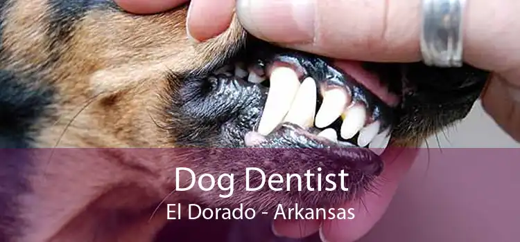 Dog Dentist El Dorado - Arkansas