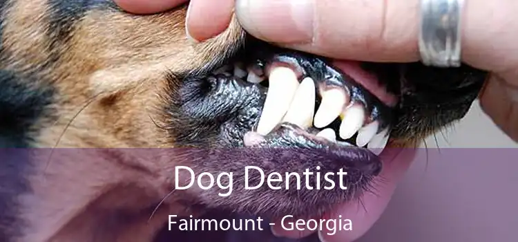 Dog Dentist Fairmount - Georgia