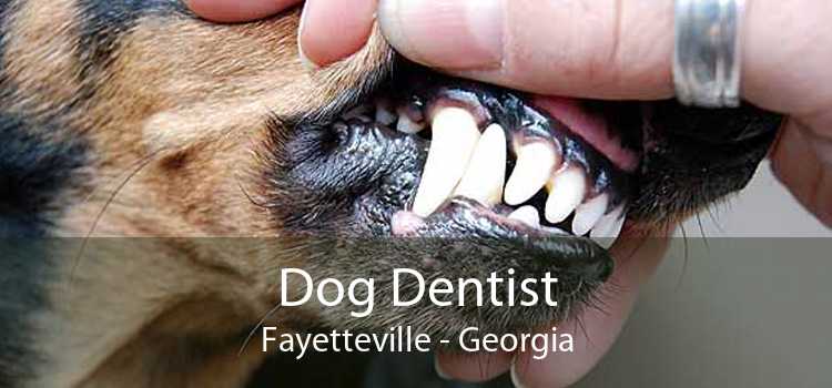 Dog Dentist Fayetteville - Georgia