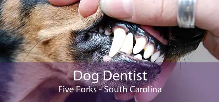 Dog Dentist Five Forks - South Carolina