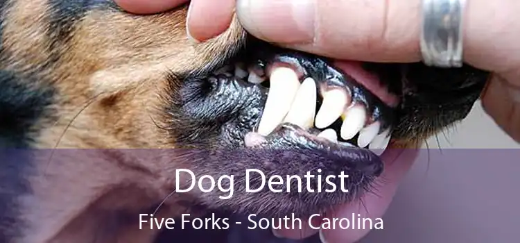 Dog Dentist Five Forks - South Carolina