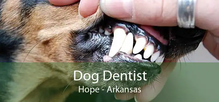 Dog Dentist Hope - Arkansas