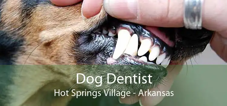 Dog Dentist Hot Springs Village - Arkansas
