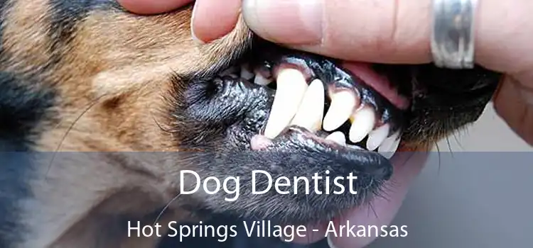 Dog Dentist Hot Springs Village - Arkansas