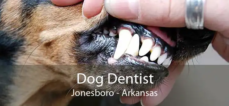 Dog Dentist Jonesboro - Arkansas