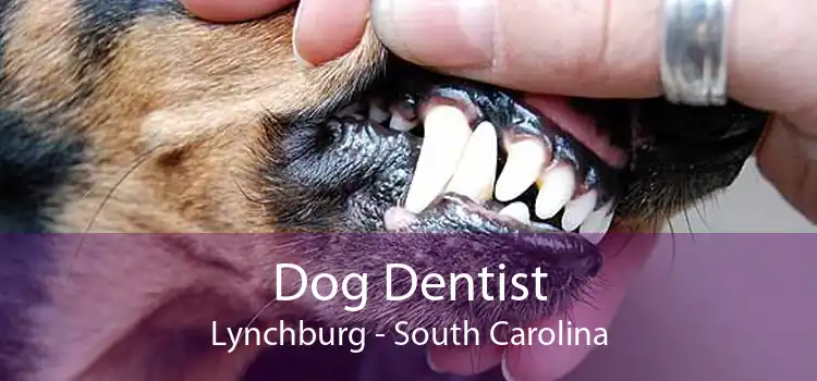 Dog Dentist Lynchburg - South Carolina