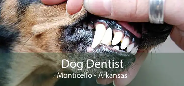 Dog Dentist Monticello - Arkansas