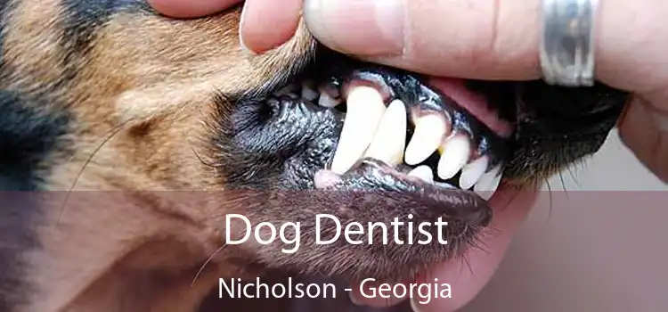 Dog Dentist Nicholson - Georgia