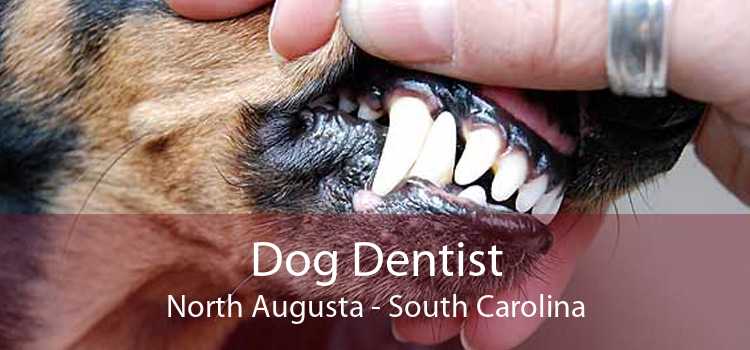Dog Dentist North Augusta - South Carolina