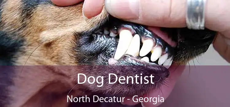 Dog Dentist North Decatur - Georgia