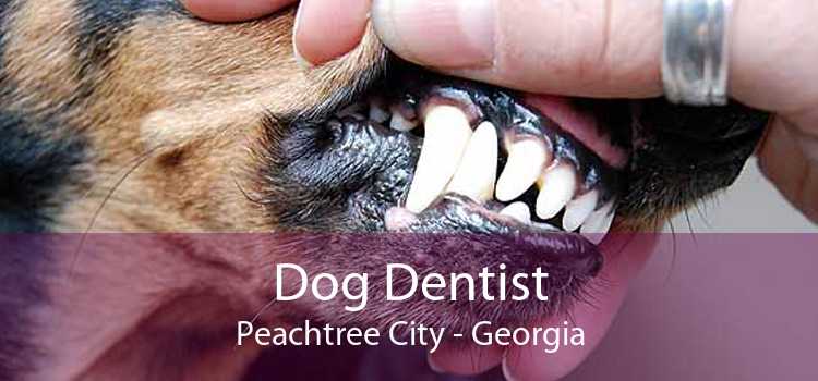 Dog Dentist Peachtree City - Georgia