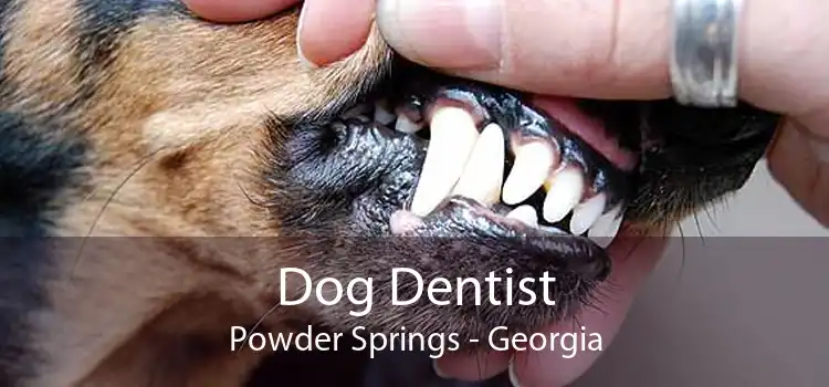 Dog Dentist Powder Springs - Georgia
