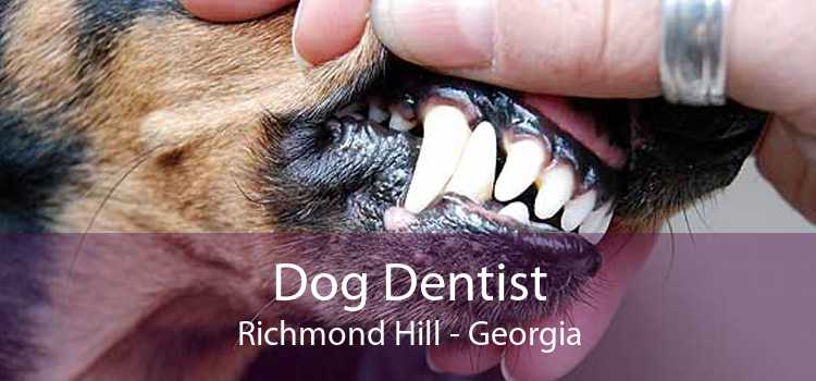 Dog Dentist Richmond Hill - Georgia