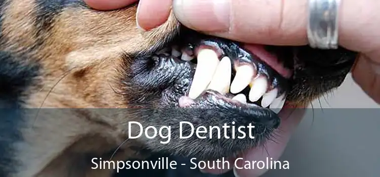 Dog Dentist Simpsonville - South Carolina