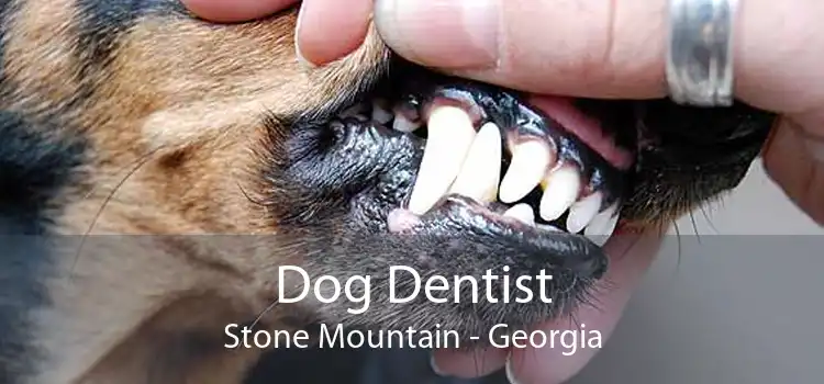 Dog Dentist Stone Mountain - Georgia