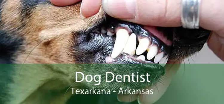 Dog Dentist Texarkana - Arkansas