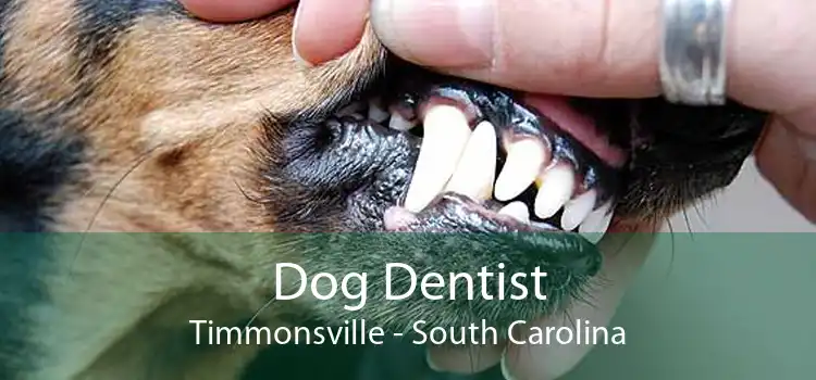 Dog Dentist Timmonsville - South Carolina