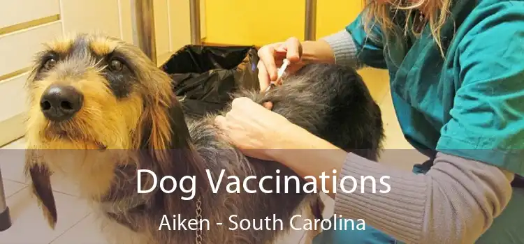 Dog Vaccinations Aiken - South Carolina