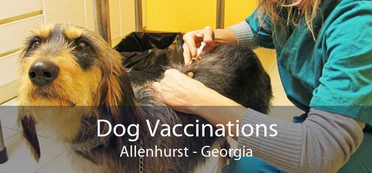 Dog Vaccinations Allenhurst - Georgia