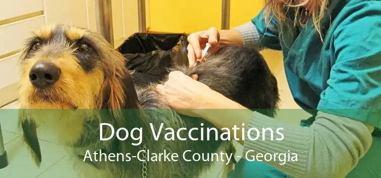 Dog Vaccinations Athens-Clarke County - Georgia
