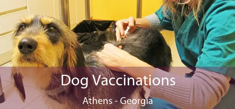 Dog Vaccinations Athens - Georgia