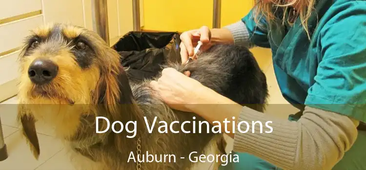 Dog Vaccinations Auburn - Georgia