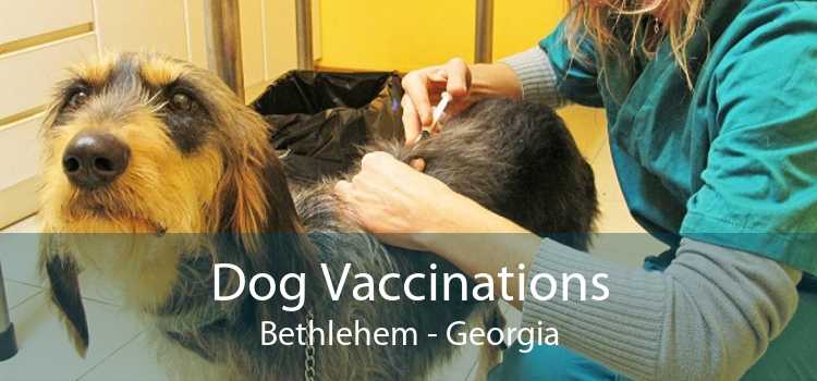 Dog Vaccinations Bethlehem - Georgia