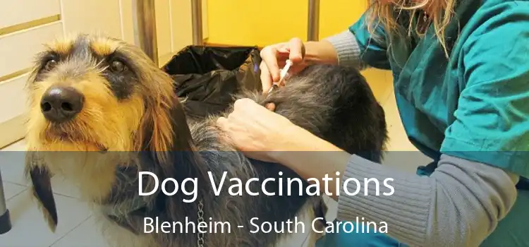 Dog Vaccinations Blenheim - South Carolina